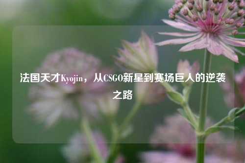 法国天才Kyojin，从CSGO新星到赛场巨人的逆袭之路